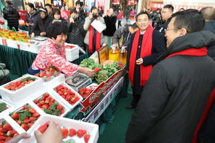 2019大連草莓文化旅游節(jié)暨農(nóng)業(yè)產(chǎn)品博覽會(huì)開幕