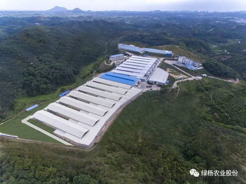 茂名也有牧場 有,這兩個還入選了廣東首批十大美麗牧場